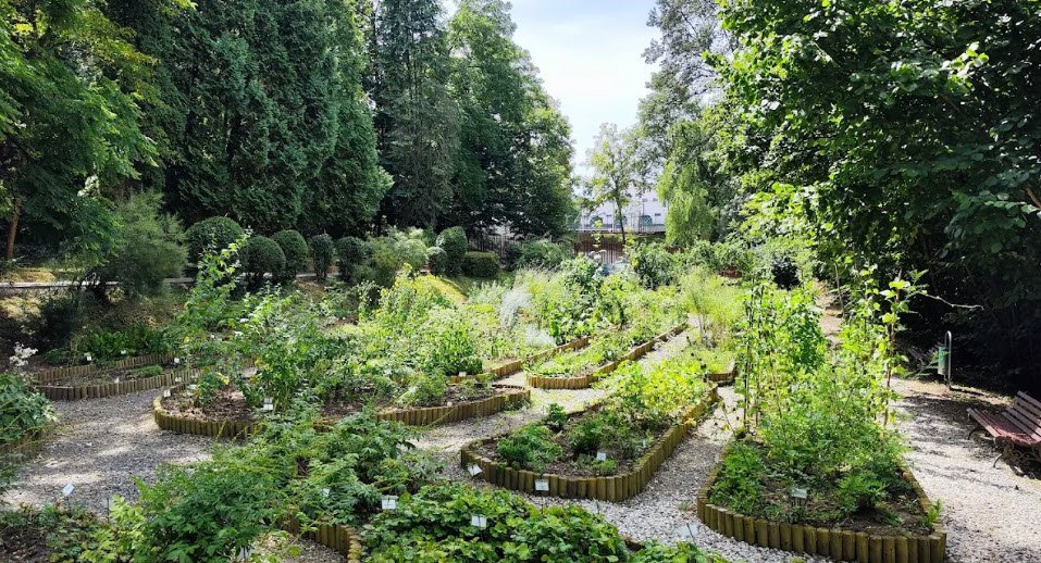 Botanical Garden, Târgu Mureș, Romania, Romania
